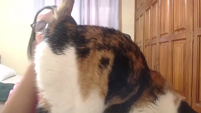 Snapshot of Venus_cat_ chatting on February 8, 9:18 pm Venus cat online show from February 8, 9:18 pm