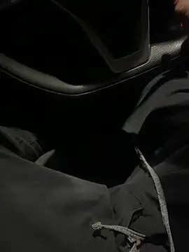 Snapshot of ayrtonmen chatting on November 25, 6:35 am ayrtonmen online show from November 25, 6:35 am