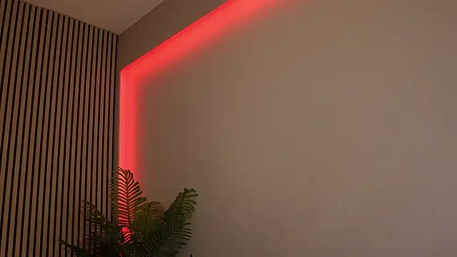 sisi von dee online show from November 11, 8:53 pm