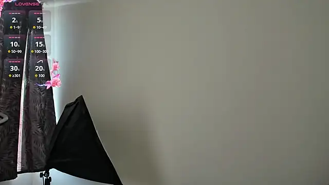 Snapshot of ValeStone chatting on October 30, 9:04 pm ValeStone online show from October 30, 9:04 pm