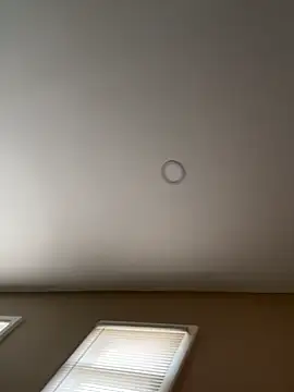 Snapshot of murphdolla chatting on November 29, 2:42 pm murphdolla online show from November 29, 2:42 pm