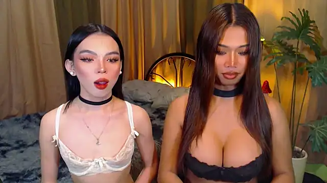 Snapshot of TWINKTRANSSHANEL chatting on October 8, 4:32 am TWINKTRANSSHANEL online show from October 8, 4:32 am