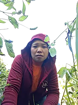 miomio-12 online show from November 29, 3:09 am