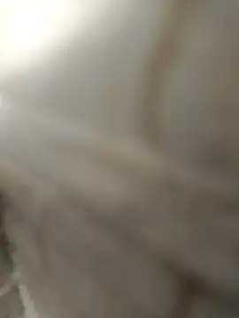 Snapshot of pn12345 chatting on December 4, 4:11 am pn12345 online show from December 4, 4:11 am