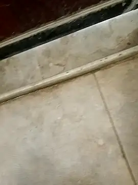 Snapshot of pn12345 chatting on December 18, 3:01 am pn12345 online show from December 18, 3:01 am