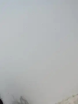  Bella Beth  online show from December 2, 12:49 am