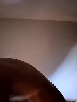 Snapshot of felipelon07 chatting on November 28, 5:10 am felipelon07 online show from November 28, 5:10 am