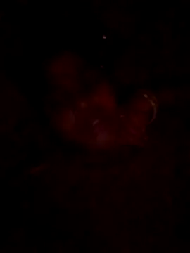 Snapshot of Tg_sonam chatting on October 23, 4:17 pm Tg sonam online show from October 23, 4:17 pm