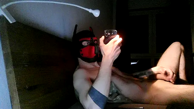 Snapshot of MolleDolle chatting on December 2, 7:31 pm MolleDolle online show from December 2, 7:31 pm