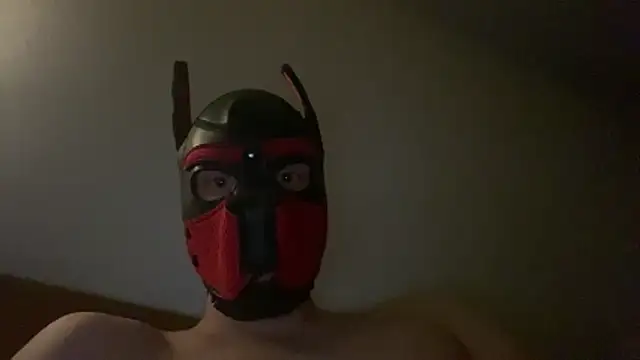 Snapshot of MolleDolle chatting on December 16, 7:13 am MolleDolle online show from December 16, 7:13 am