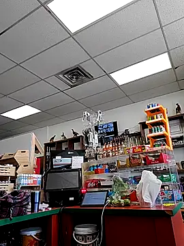 Cassaroll333 online show from November 30, 5:28 pm