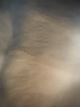 Snapshot of SL_BEAR chatting on December 4, 1:48 am SL BEAR online show from December 4, 1:48 am