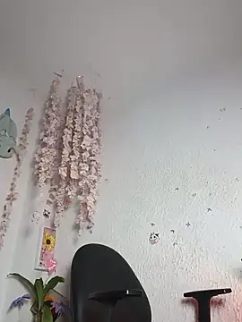 Emilycollei online show from June 9, 5:19 am