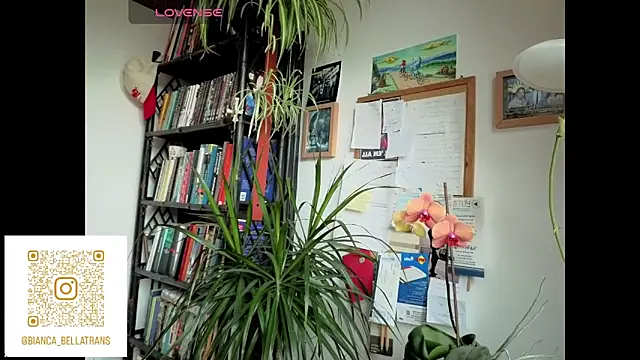 bianca bellamy online show from June 9, 7:42 am