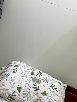 Ha 2660 online show from October 22, 10:15 am