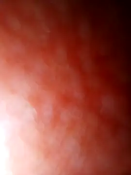 Snapshot of jhbswto chatting on October 30, 9:48 pm jhbswto online show from October 30, 9:48 pm