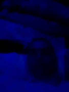 sexdol2 online show from March 22, 9:13 am