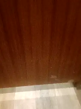 Snapshot of leeya14 chatting on October 11, 4:12 am leeya14 online show from October 11, 4:12 am