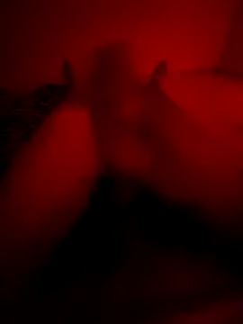 Ktkotabob online show from October 21, 10:21 pm