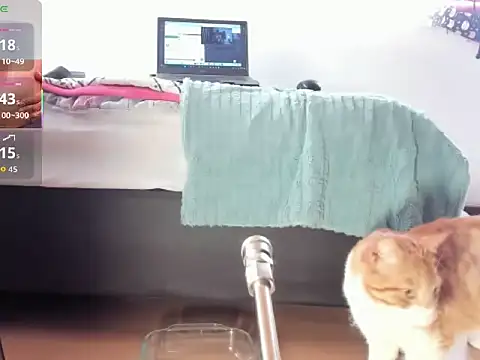   Aragon   online show from November 4, 2:38 pm