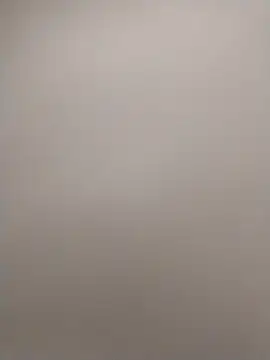 shyguy8569 online show from November 27, 4:47 am