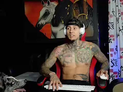 Snapshot of Molotov_Explosive chatting on November 25, 10:43 pm Molotov Explosive online show from November 25, 10:43 pm