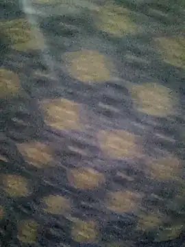 Tanha18 online show from December 5, 6:59 pm