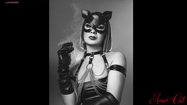 ana cat online show from February 18, 8:47 pm