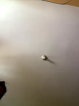 Snapshot of Techi0525 chatting on December 16, 5:18 pm Techi0525 online show from December 16, 5:18 pm