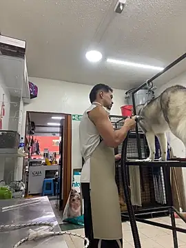 Snapshot of Leonardmoppet chatting on November 4, 8:52 pm Leonardmoppet online show from November 4, 8:52 pm