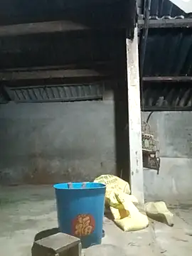 Myzak- online show from November 22, 11:09 am