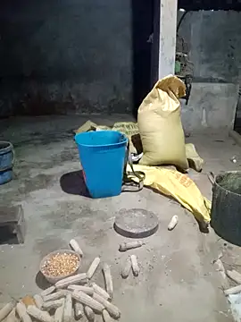 Myzak- online show from November 24, 11:26 pm