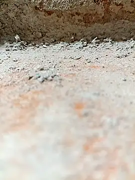 Rajni chauhan online show from November 2, 8:11 pm