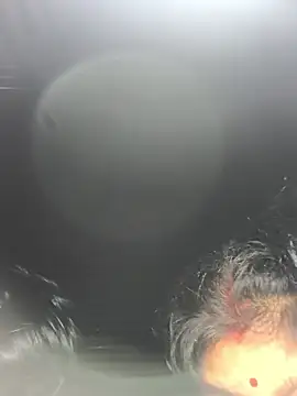 Ragni bhargav online show from January 19, 4:22 pm