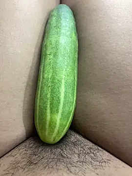 Snapshot of Su-115 chatting on November 15, 9:11 pm Su-115 online show from November 15, 9:11 pm