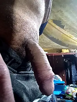 Snapshot of Cogelonregio chatting on December 4, 4:00 am Cogelonregio online show from December 4, 4:00 am