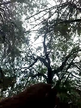 Labellasex online show from December 20, 7:10 pm