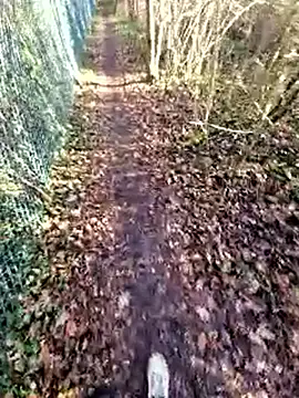 Snapshot of bbyxklaus chatting on December 19, 12:34 pm bbyxklaus online show from December 19, 12:34 pm