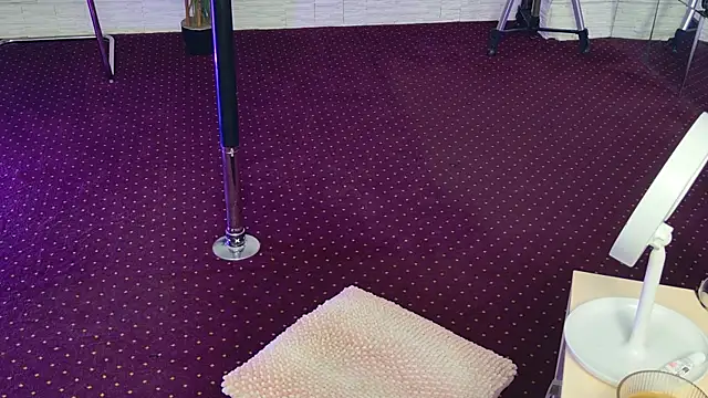 Snapshot of IvorySwan chatting on November 3, 5:52 am IvorySwan online show from November 3, 5:52 am