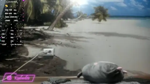 Snapshot of kimberd33 chatting on February 26, 3:11 pm kimberd33 online show from February 26, 3:11 pm