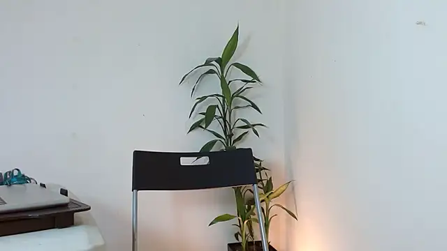 Snapshot of Dulce765b chatting on March 21, 1:37 pm Dulce765b online show from March 21, 1:37 pm