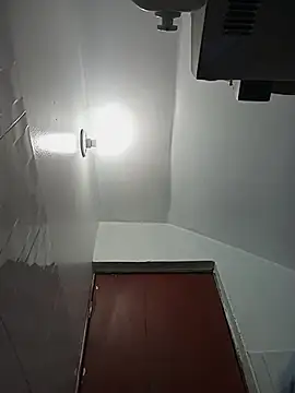 Snapshot of celeste_83 chatting on October 27, 4:22 pm celeste 83 online show from October 27, 4:22 pm