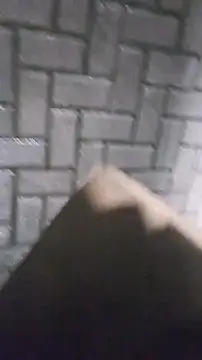 Snapshot of Sfdocom chatting on November 8, 2:45 am Sfdocom online show from November 8, 2:45 am