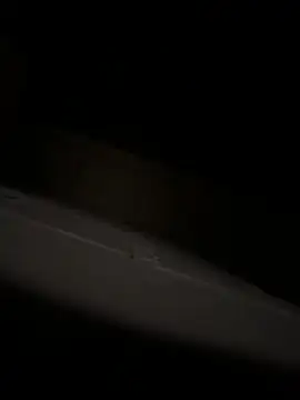 bart98geil online show from April 6, 3:15 am