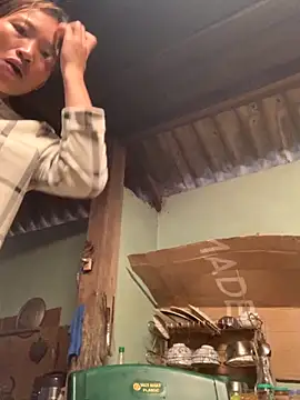 sowbibi online show from November 1, 1:29 am