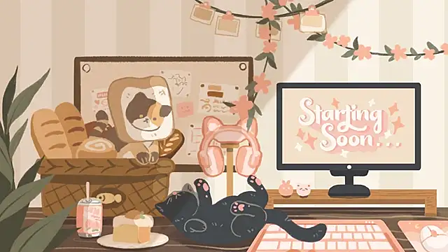 geekycastillo online show from January 17, 3:22 am