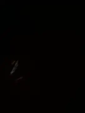 rickkis2k online show from July 26, 9:21 pm
