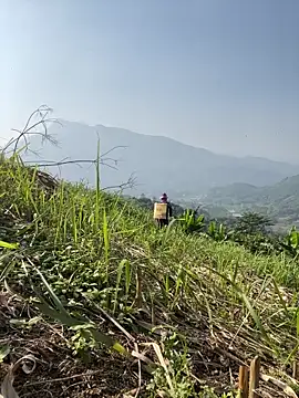 Irin jo online show from November 23, 6:46 am