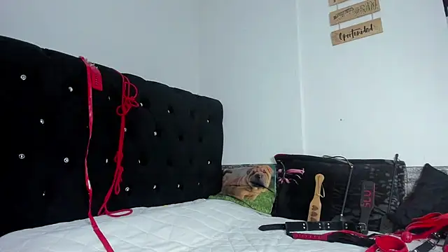 abby mullerr online show from December 3, 9:57 pm