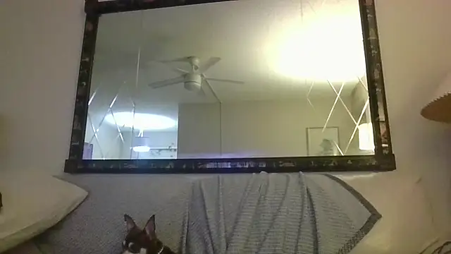 Snapshot of KosherCo313 chatting on November 23, 1:27 am KosherCo313 online show from November 23, 1:27 am